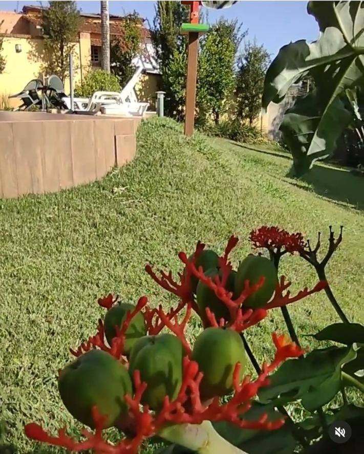 Gramado 4* Águas de Santa Barbara